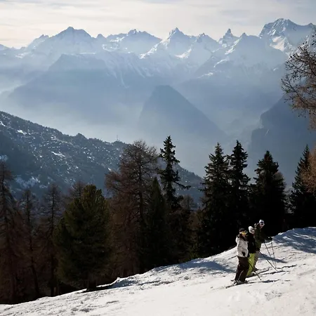 Chalet With Garden And Mountain View *